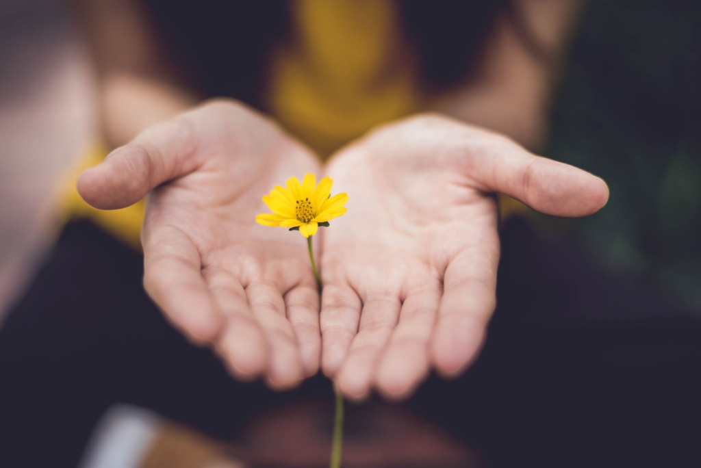 Two hands with a yellow flower coming out of them