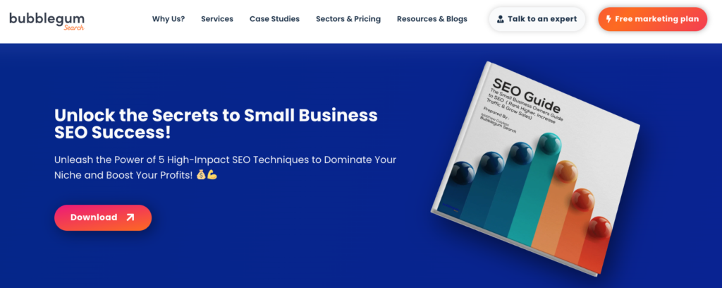 Screenshot of a landing page for a small business SEO guide