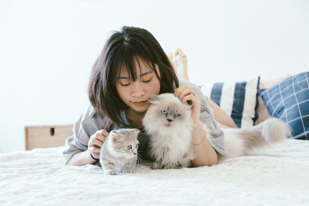 Young girl playing with two cats in her bed